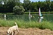 Ann&eacute;e 2015