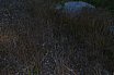 La Conviviale 2019